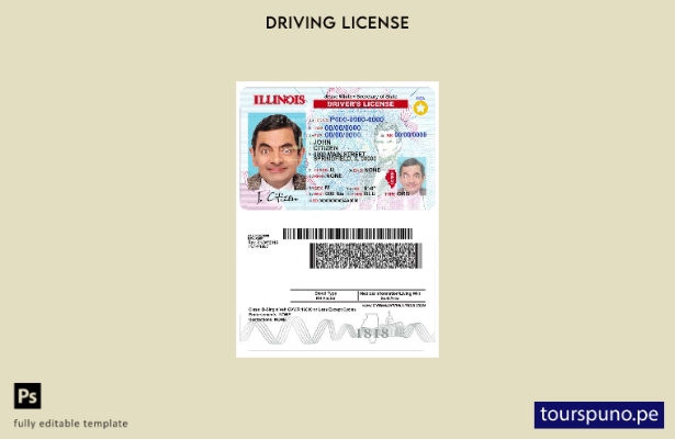 Plantilla de licencia de conducir de Illinois de EE. UU. lista para imprimir